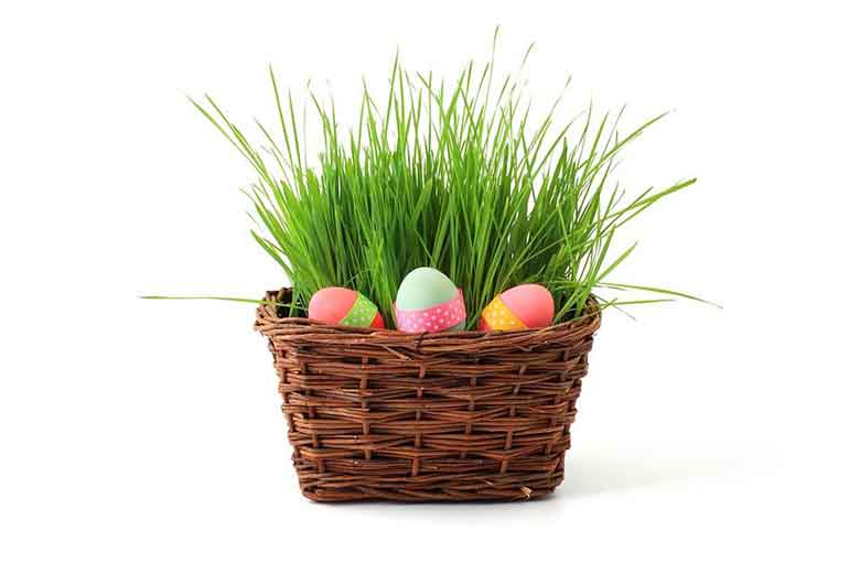 Basket Full of Easter Eggs