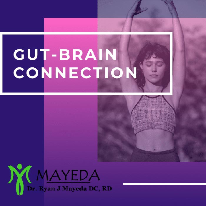 Gut Brain Connection